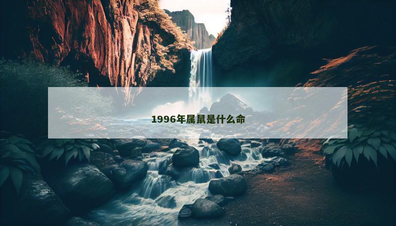 1996年属鼠是什么命