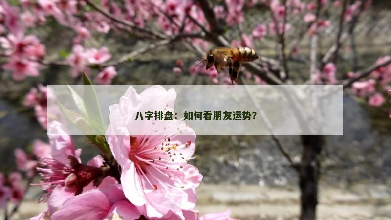 八字排盘：如何看朋友运势？