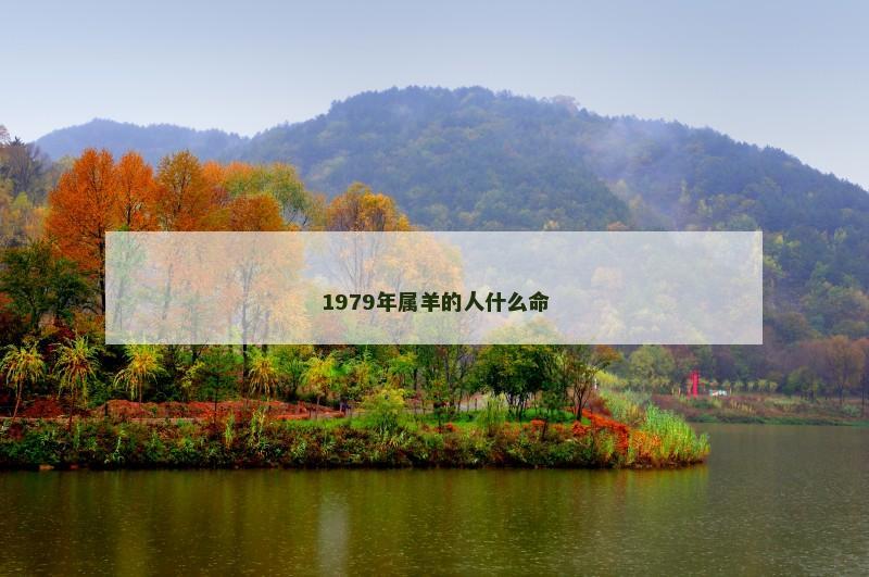 1979年属羊的人什么命