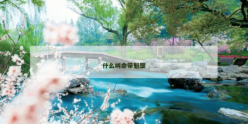 什么叫命带魁罡