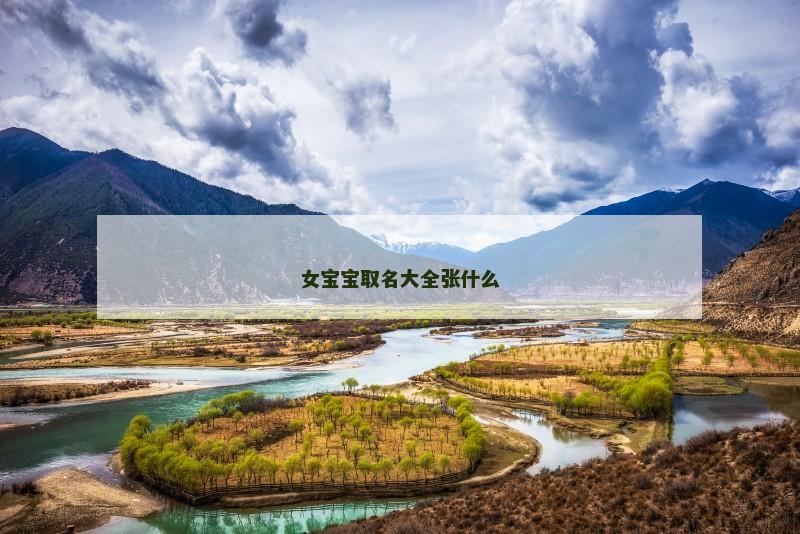女宝宝取名大全张什么