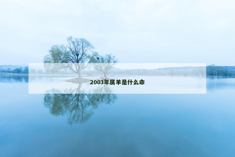 2003年属羊是什么命