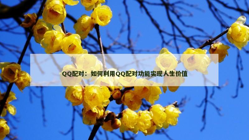 QQ配对：如何利用QQ配对功能实现人生价值