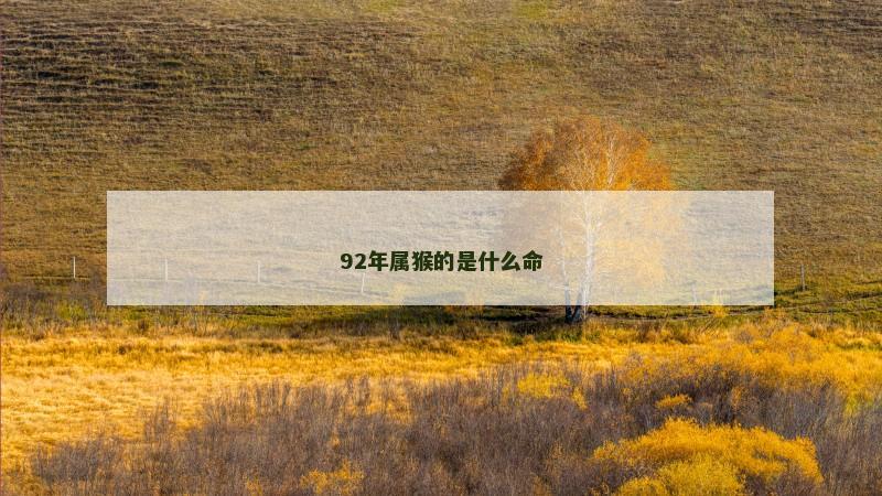 92年属猴的是什么命