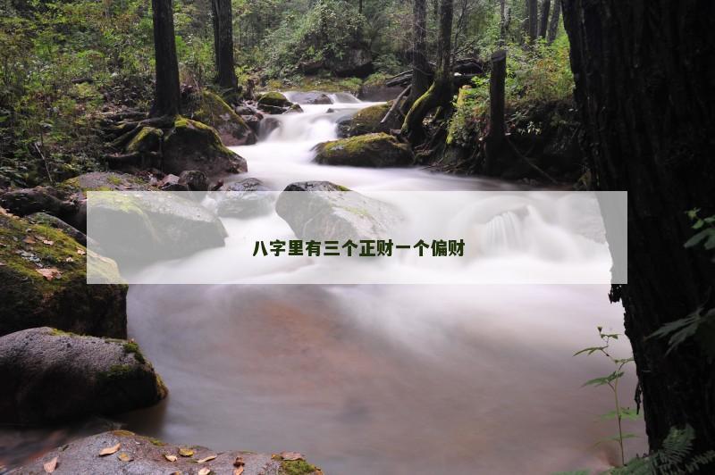 八字里有三个正财一个偏财