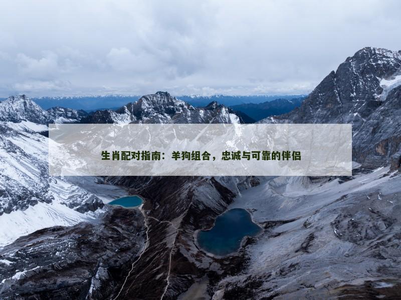 生肖配对指南：羊狗组合，忠诚与可靠的伴侣