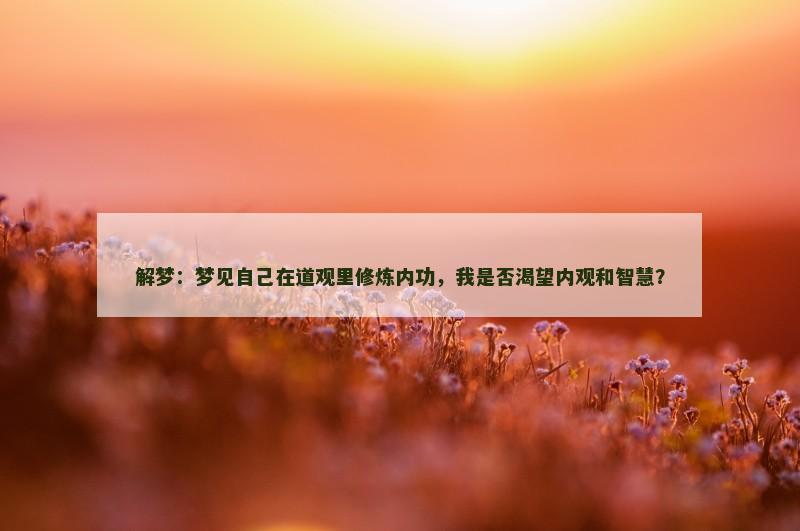 解梦：梦见自己在道观里修炼内功，我是否渴望内观和智慧？