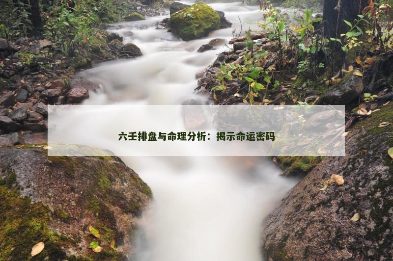 六壬排盘与命理分析：揭示命运密码