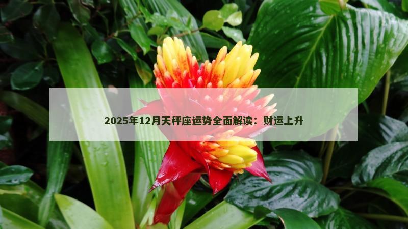 2025年12月天秤座运势全面解读：财运上升