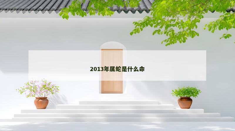 2013年属蛇是什么命