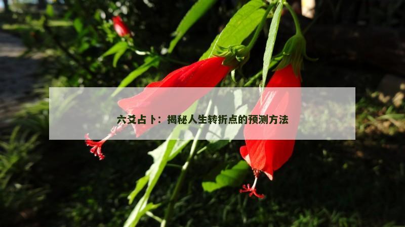 六爻占卜：揭秘人生转折点的预测方法