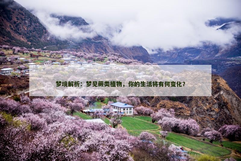 梦境解析：梦见蕨类植物，你的生活将有何变化？