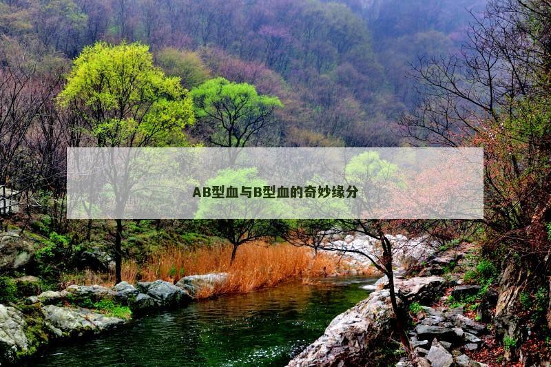 AB型血与B型血的奇妙缘分