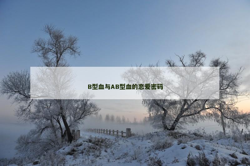 B型血与AB型血的恋爱密码