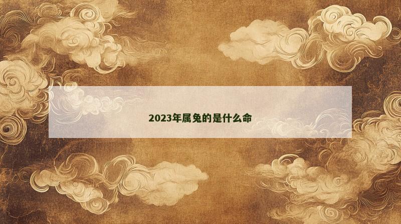 2023年属兔的是什么命