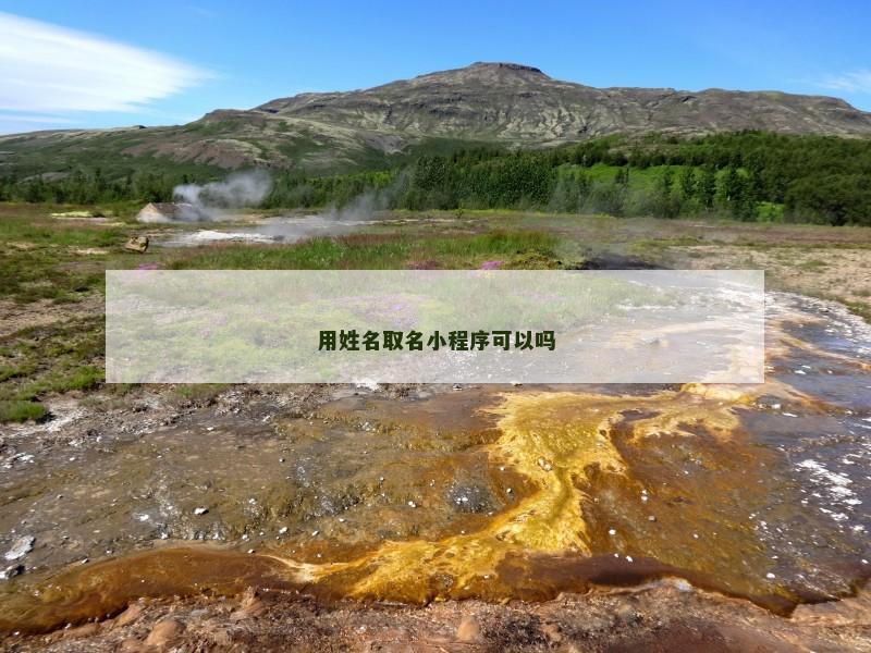 用姓名取名小程序可以吗