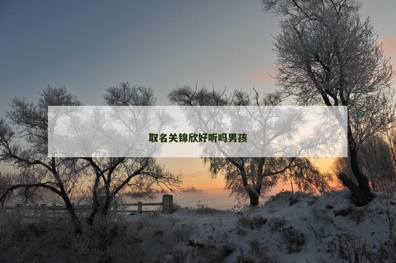 取名关锦欣好听吗男孩