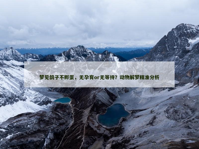 梦见鸽子不孵蛋，无孕育or无等待？动物解梦精准分析
