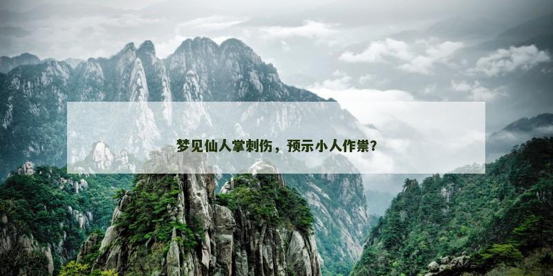 梦见仙人掌刺伤，预示小人作祟？