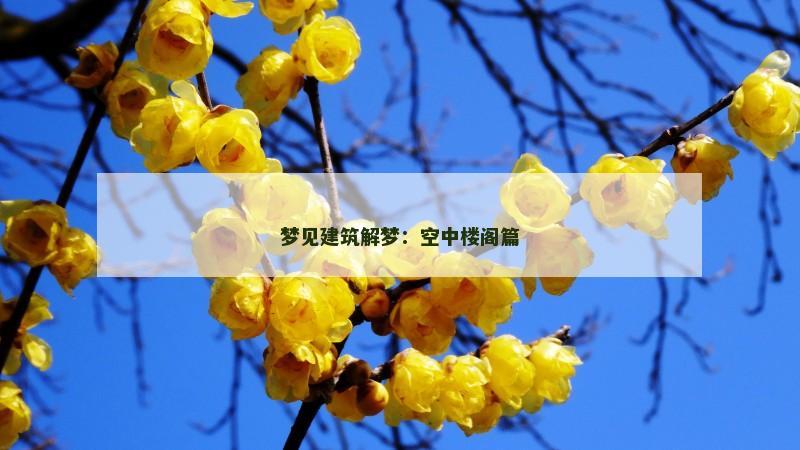 梦见建筑解梦：空中楼阁篇