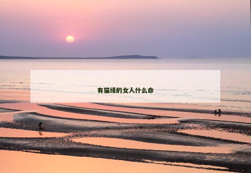 有猫缘的女人什么命