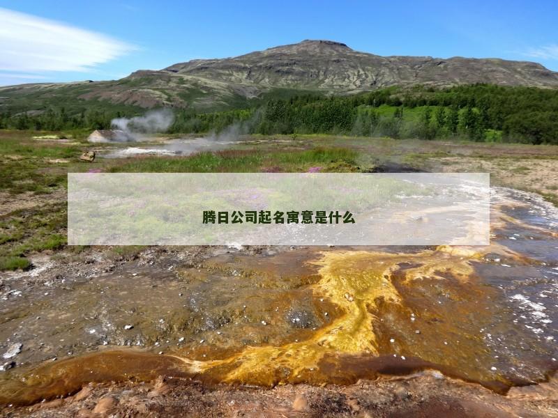 腾日公司起名寓意是什么