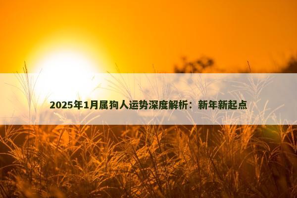 2025年1月属狗人运势深度解析:新年新起点 2025年1月属狗人运势深度解析:新年新起点
