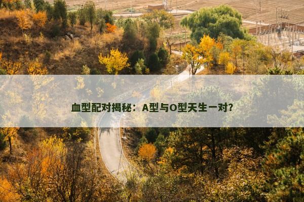血型配对揭秘:A型与O型天生一对? 血型配对揭秘:A型与O型天生一对?