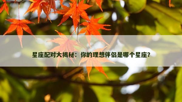 星座配对大揭秘:你的理想伴侣是哪个星座? 星座配对大揭秘:你的理想伴侣是哪个星座?