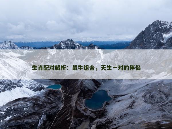 生肖配对解析:鼠牛组合,天生一对的伴侣 生肖配对解析:鼠牛组合,天生一对的伴侣