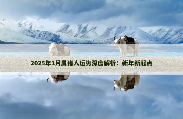 2025年1月属猪人运势深度解析:新年新起点 2025年1月属猪人运势深度解析:新年新起点