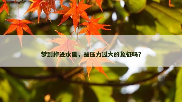 梦到掉进水里,是压力过大的象征吗? 梦到掉进水里,是压力过大的象征吗?