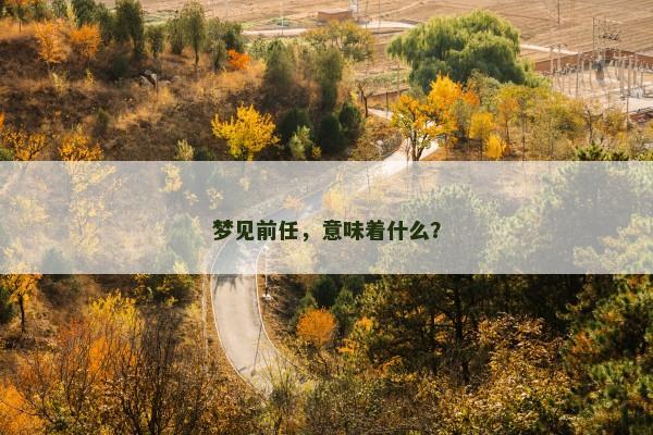 梦见前任,意味着什么? 梦见前任,意味着什么?