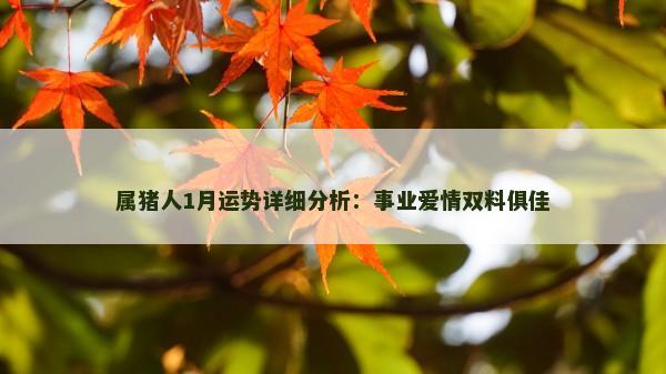 属猪人1月运势详细分析:事业爱情双料俱佳 属猪人1月运势详细分析:事业爱情双料俱佳
