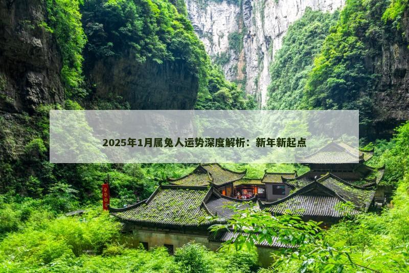 2025年1月属兔人运势深度解析:新年新起点 2025年1月属兔人运势深度解析:新年新起点