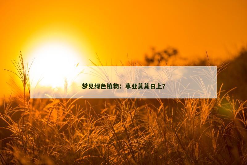 梦见绿色植物:事业蒸蒸日上? 梦见绿色植物:事业蒸蒸日上?