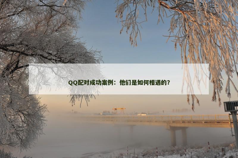 QQ配对成功案例：他们是如何相遇的？