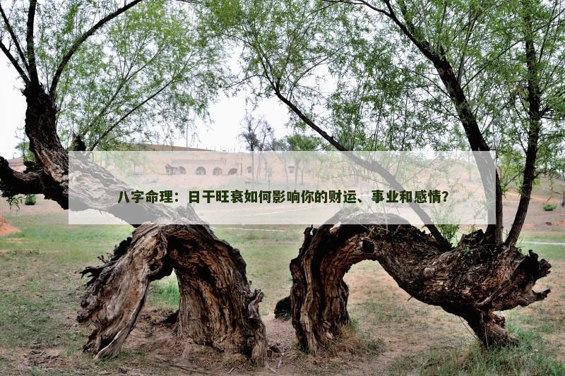 八字命理:日干旺衰如何影响你的财运、事业和感情? 八字命理:日干旺衰如何影响你的财运、事业和感情?