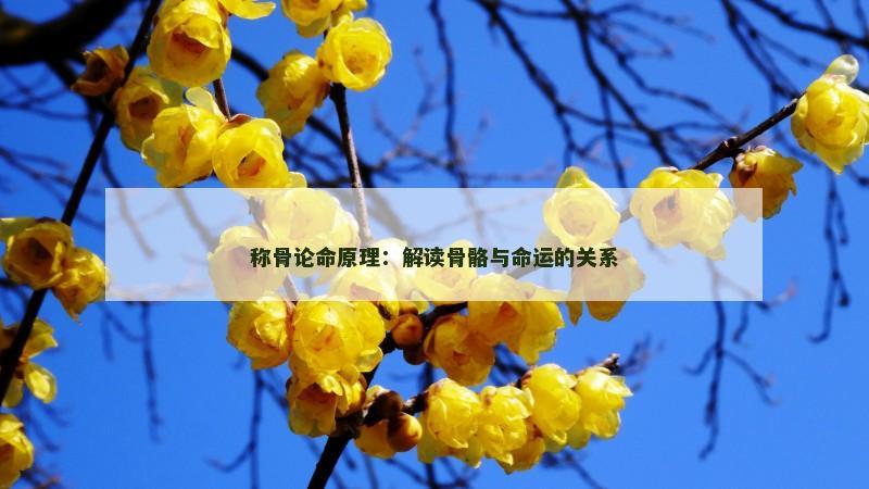 称骨论命原理:解读骨骼与命运的关系 称骨论命原理:解读骨骼与命运的关系