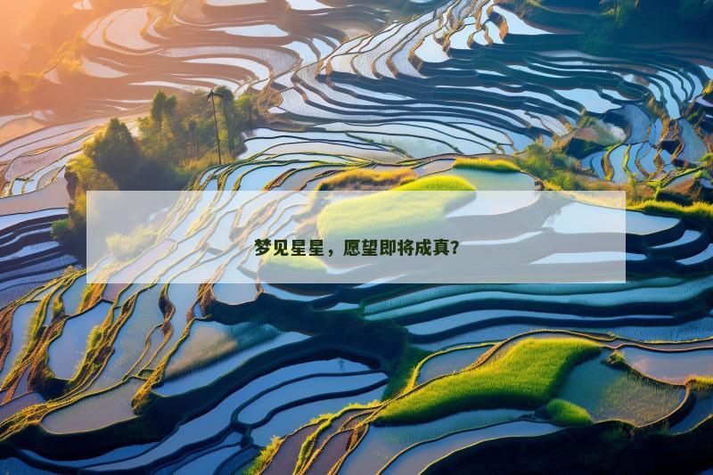 梦见星星,愿望即将成真? 梦见星星,愿望即将成真?
