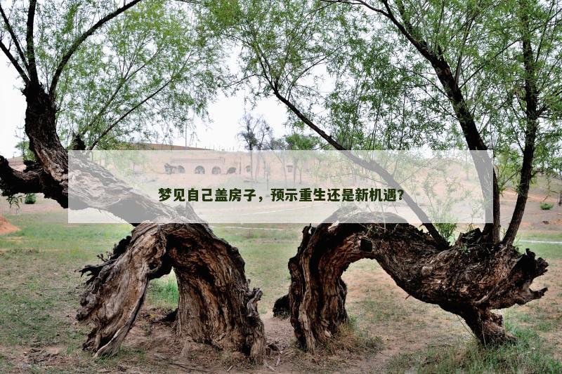梦见自己盖房子,预示重生还是新机遇? 梦见自己盖房子,预示重生还是新机遇?