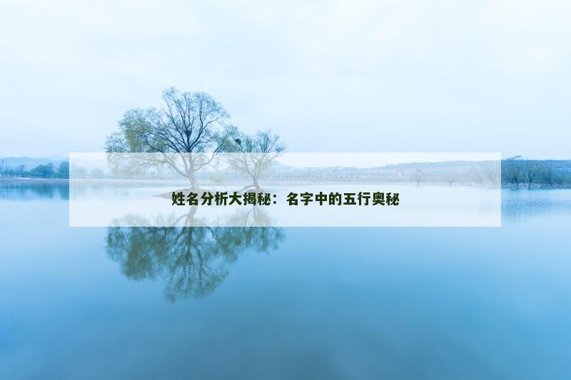 姓名分析大揭秘:名字中的五行奥秘 姓名分析大揭秘:名字中的五行奥秘