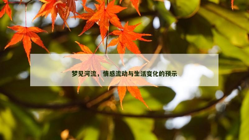 梦见河流,情感流动与生活变化的预示 梦见河流,情感流动与生活变化的预示