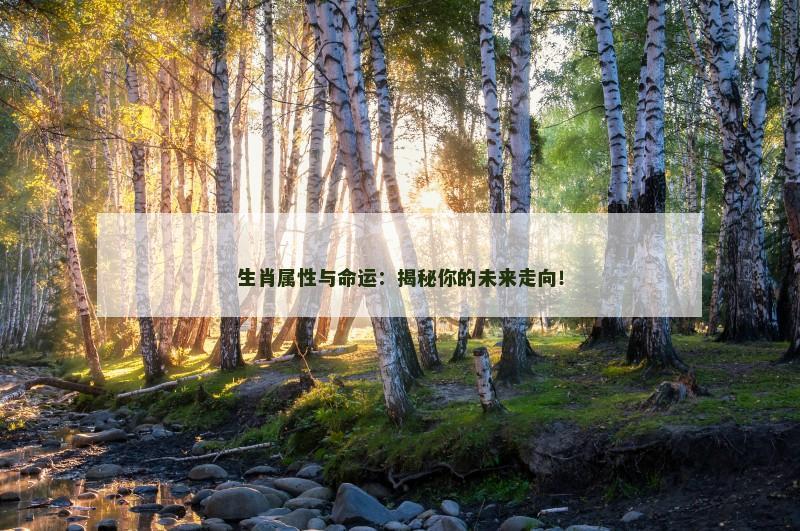 生肖属性与命运:揭秘你的未来走向! 生肖属性与命运:揭秘你的未来走向!