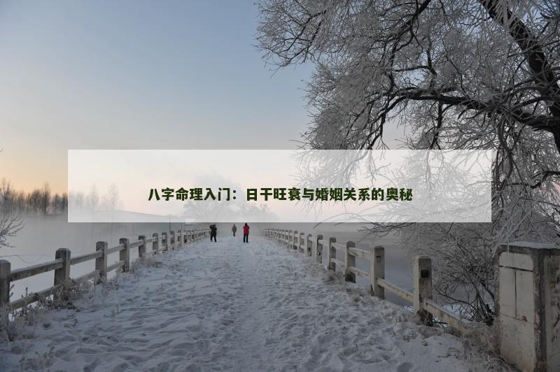 八字命理入门:日干旺衰与婚姻关系的奥秘 八字命理入门:日干旺衰与婚姻关系的奥秘
