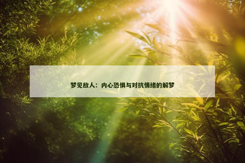 梦见敌人:内心恐惧与对抗情绪的解梦 梦见敌人:内心恐惧与对抗情绪的解梦