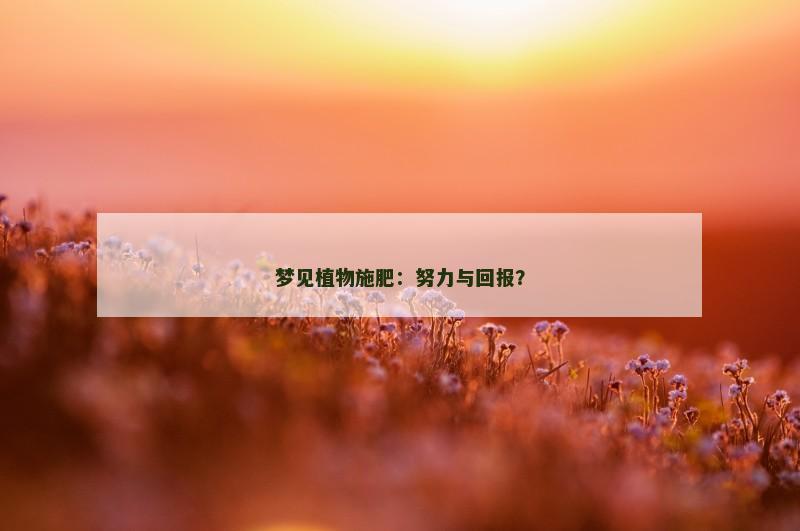 梦见植物施肥:努力与回报? 梦见植物施肥:努力与回报?