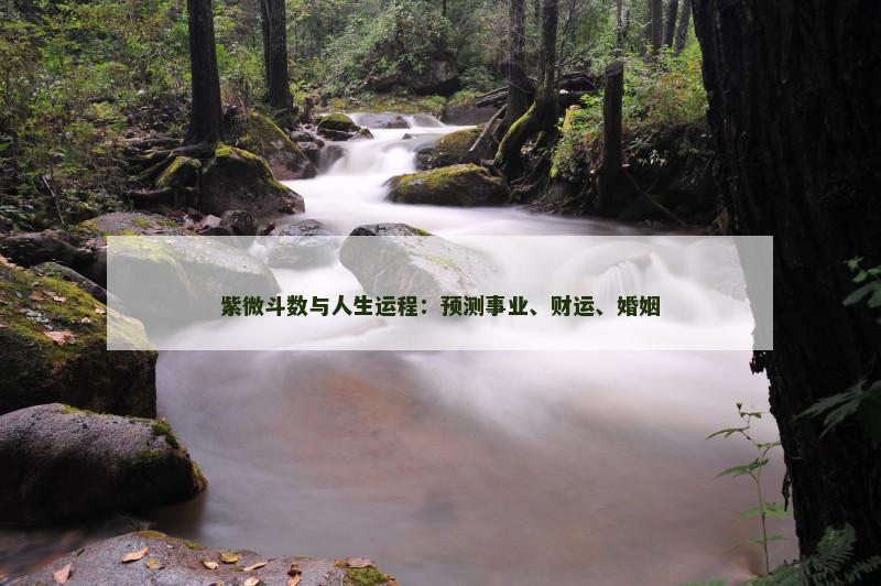 紫微斗数与人生运程:预测事业、财运、婚姻 紫微斗数与人生运程:预测事业、财运、婚姻