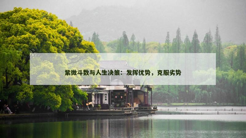 紫微斗数与人生决策:发挥优势,克服劣势 紫微斗数与人生决策:发挥优势,克服劣势