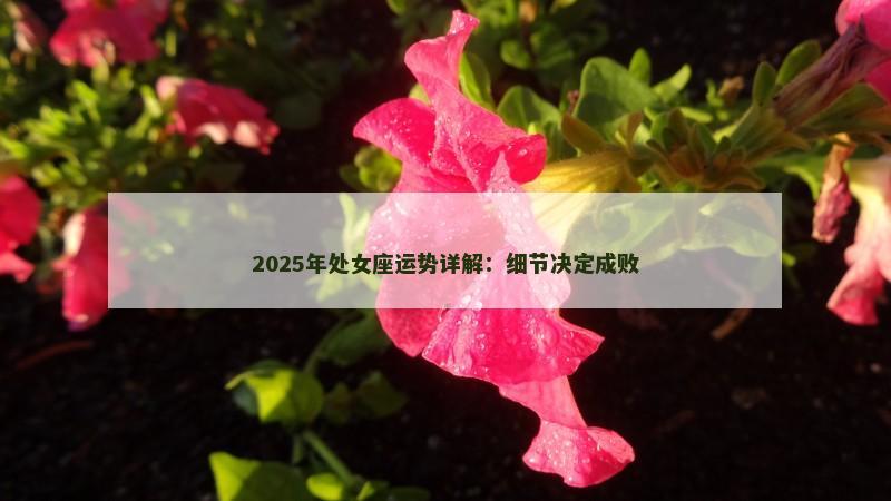2025年处女座运势详解:细节决定成败 2025年处女座运势详解:细节决定成败
